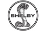 Shelby Cars