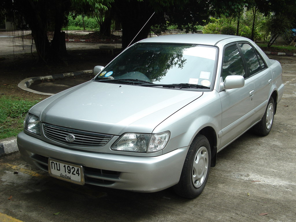 Tercel