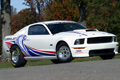 2009 Ford FR500CJ Cobra Jet Mustang