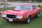 Used Ford Torino