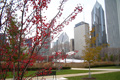 Used Cars in Chicago