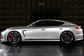 2010 SpeedART PS9-650 Porsche Panamera Turbo