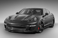 2010 TopCar Porsche Panamera Stingray