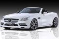 2011 Piecha Design Mercedes-Benz SLK R172 Accurian RS