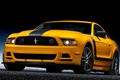 2013 Ford Mustang Boss 302