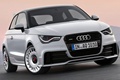 2013 Audi A1 Quattro